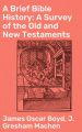 A Brief Bible History: A Survey of the Old and New Testaments