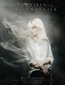 Die Chroniken der Seelenwachter - Band 4: Blutsbande (Urban Fantasy)