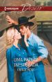 Uma paixao inesperada