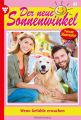 Der neue Sonnenwinkel 81 – Familienroman