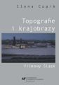 Topografie i krajobrazy. Filmowy Slask