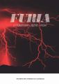 Furia Literatura jezyk film
