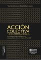 Accion colectiva y redes transnacionales