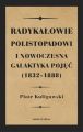 Radykalowie polistopadowi i nowoczesna galaktyka pojec (1832–1888)