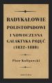 Radykalowie polistopadowi i nowoczesna galaktyka pojec (1832–1888)