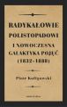 Radykalowie polistopadowi i nowoczesna galaktyka pojec (18321888)