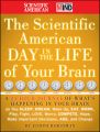 The Scientific American Day in the Life of Your Brain. A 24 hour Journal of What's Happening in Your Brain as you Sleep, Dream, Wake Up, Eat, Work, Play, Fight, Love, Worry, Compete, Hope, Make Import