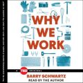 Why We Work