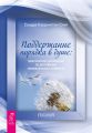 Поддержание порядка в душе: практическое руководство по достижению эмоционального комфорта