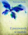 Z poczwarek w motyle