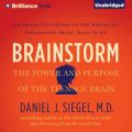 Brainstorm