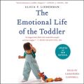 Emotional Life of the Toddler