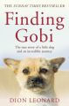 Finding Gobi