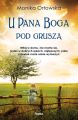 U Pana Boga pod grusza