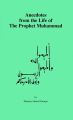 Anecdotes from the Life of The Prophet Muhammad