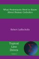 What Protestants Need to Know about Roman Catholics