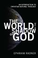 The World in the Shadow of God
