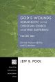 God's Wounds: Hermeneutic of the Christian Symbol of Divine Suffering, Volume One