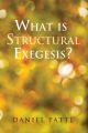 What is Structural Exegesis?
