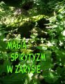 Magia i spirytyzm w zarysie