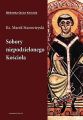 Sobory niepodzielonego Kosciola