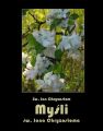 Mysli sw. Jana Chryzostoma