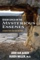Edgar Cayce on the Mysterious Essenes