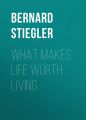 What Makes Life Worth Living