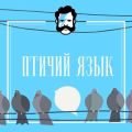 Птичий язык. Где послушать соловья