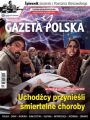 Gazeta Polska 26/07/2017