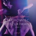 Fachowiec poszukiwany czesc 2 – opowiadanie erotyczne