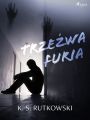 Trzezwa furia