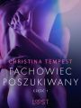 Fachowiec poszukiwany czesc 1 – opowiadanie erotyczne