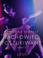 Fachowiec poszukiwany czesc 2 – opowiadanie erotyczne