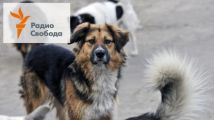 Женщины наедине с агрессорами – 08 декабря, 2020