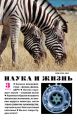Наука и жизнь №03/2015 Наука и жизнь №03/2015