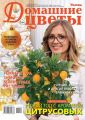 Домашние Цветы 12-2017