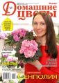 Домашние Цветы 03-2016