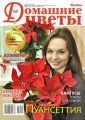 Домашние Цветы 12-2015