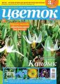 Цветок 07-2018
