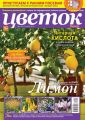 Цветок 01-2018