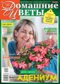 Домашние Цветы 10-2019