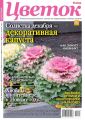 Цветок 23-2020