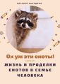 Ох уж эти еноты! Жизнь и проделки енотов в семье человека