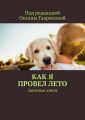 Как я провел лето. Записная книга