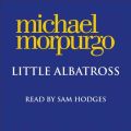 Little Albatross