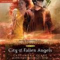 City of Fallen Angels