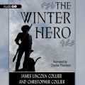 Winter Hero