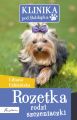 Rozetka rodzi szczeniaczki