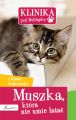 Muszka, ktora nie umie latac